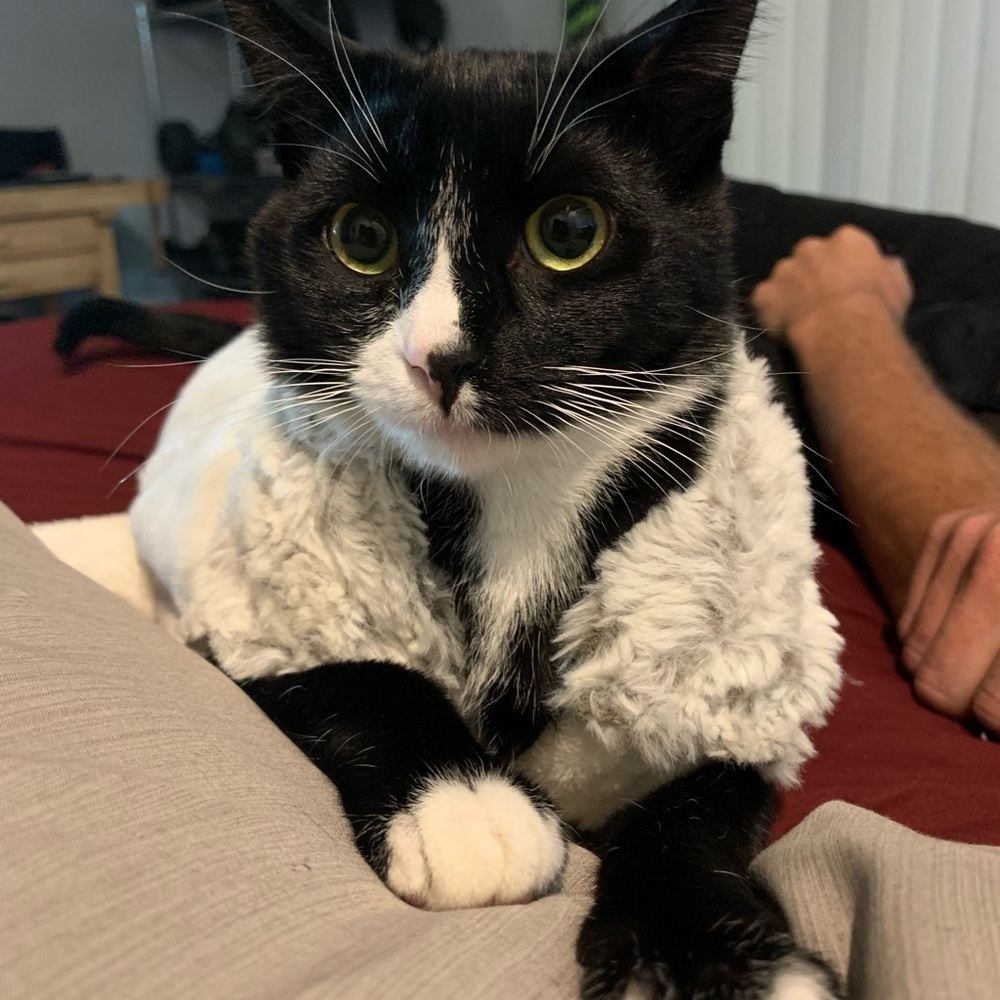 Meet your Posher, Brooklyn